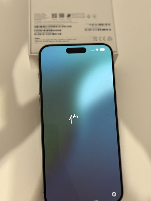 Iphone 15 Pro Max 256 Gb