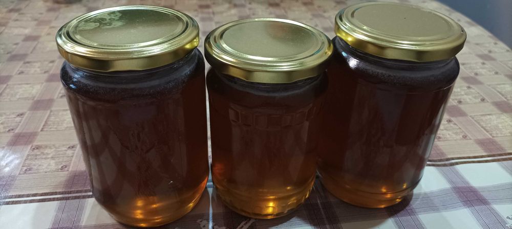 Пчелен мед (билков реколта 2022)
