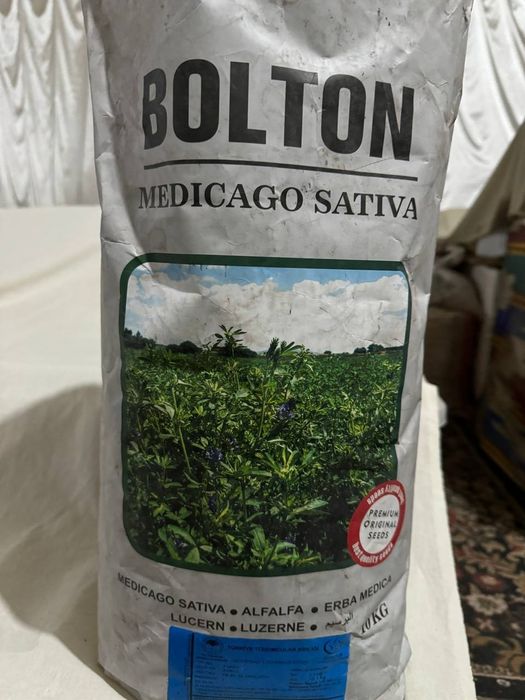 Беда уруг (оригинал)