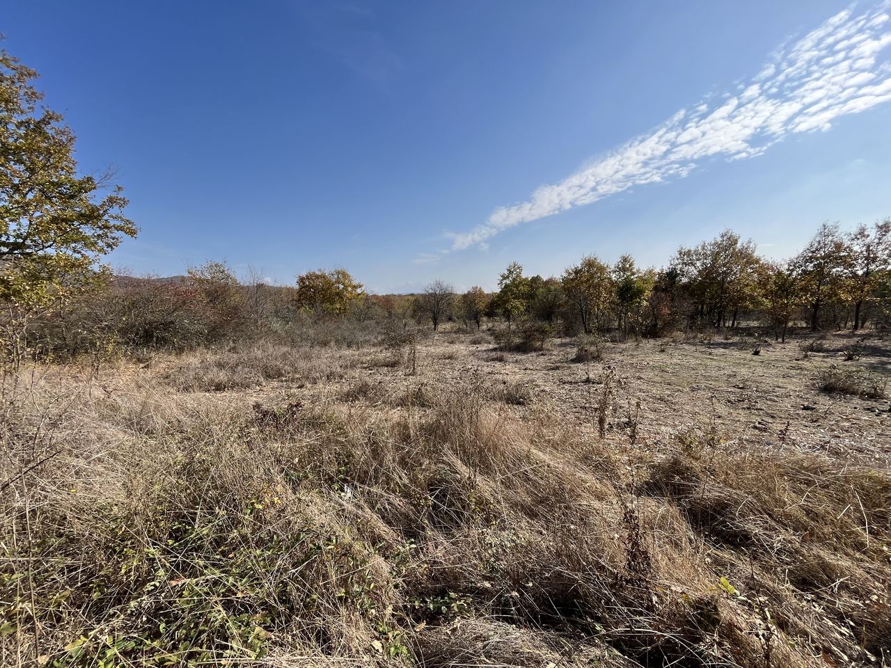 Продава се Парцел в с. Росен, Област Бургас - 1118 кв.м за 25 €/кв.м - Снимка #5