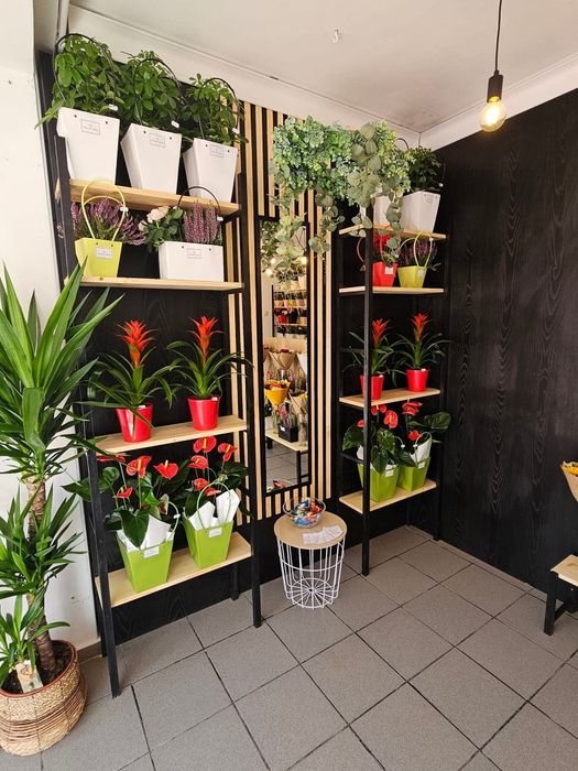 Vand afacere la cheie locație Cavnic, jud. MM