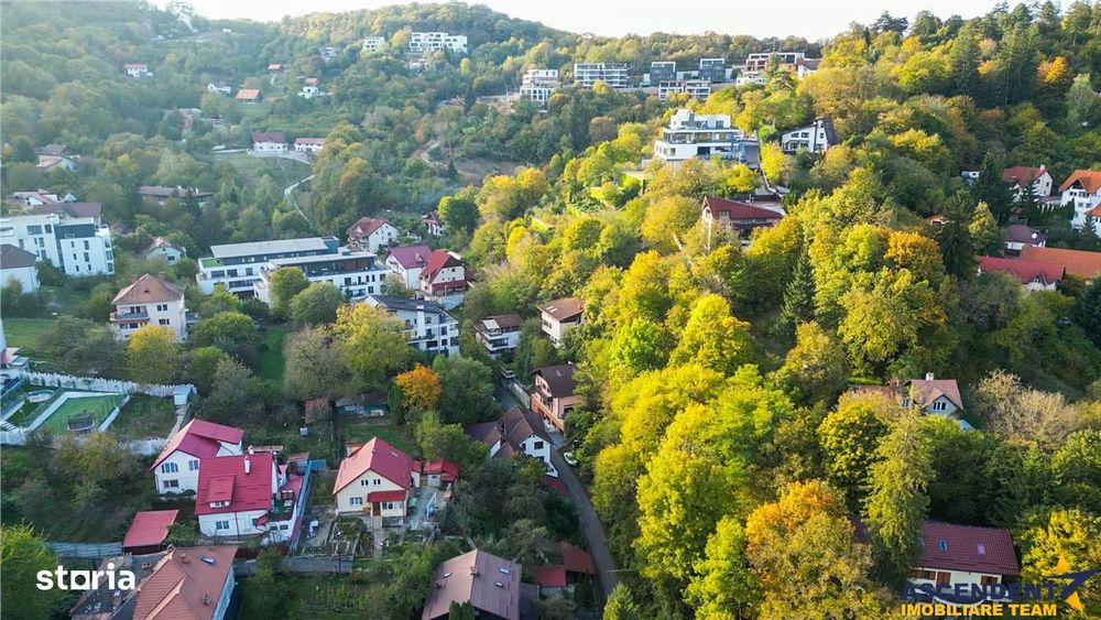 FILM&3D! Resedinta notabila, in pretiosul areal:Drumul Poienii,Centru