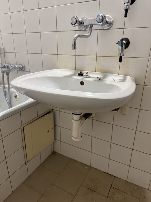 Раковина раковина