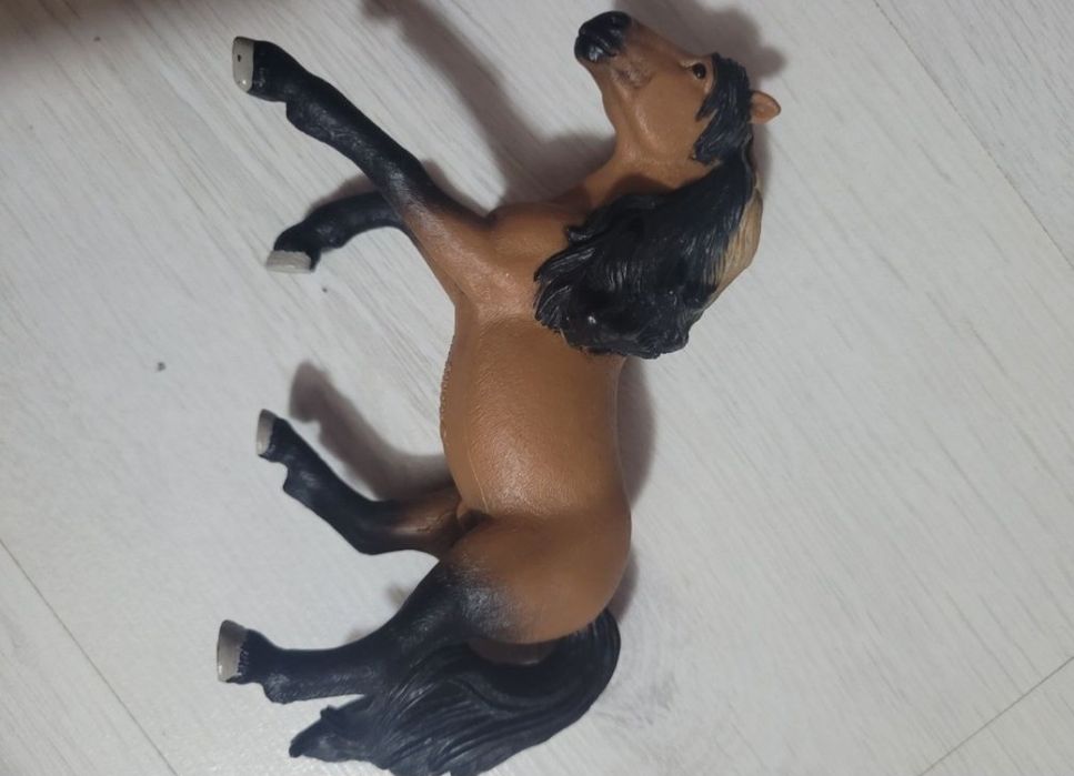 Carte+ Cal de jucarie