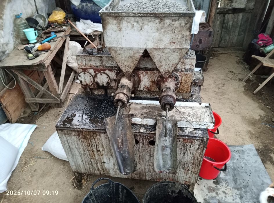 Șrot floarea soarelui (prima presa)