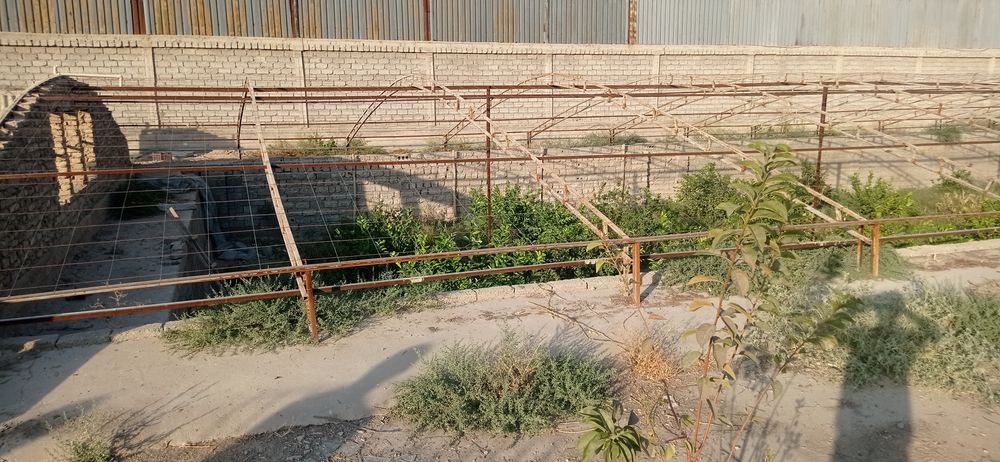 Ер участка  14 су́тик 1 су́тиги 5500 дан