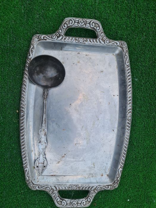 Vand polonic și tava