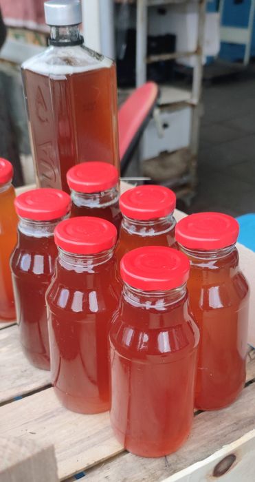 vând sirop de conuri