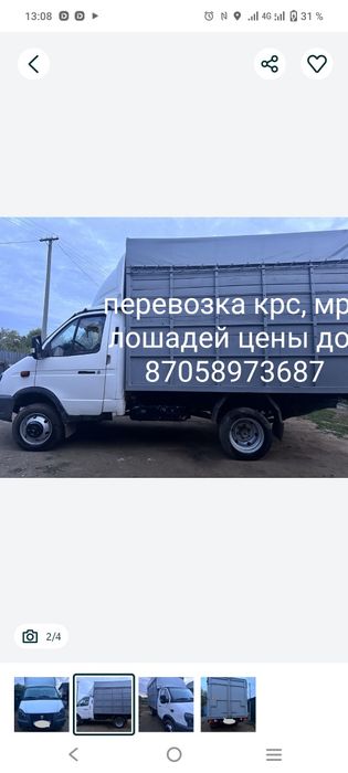 Грузоперевозки скотовоз