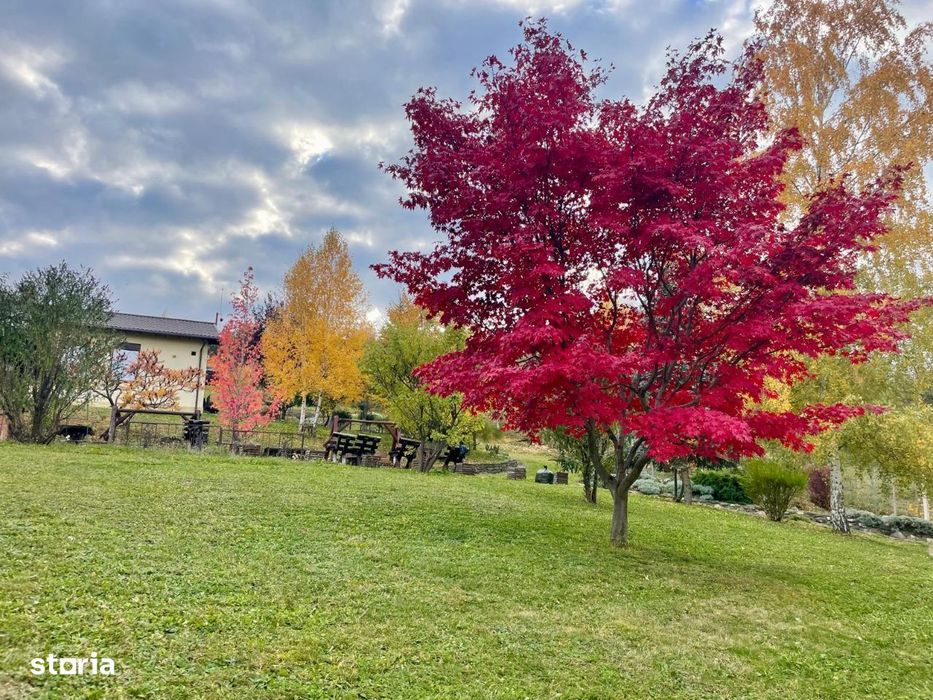 O casa de vis in natura !