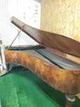 Vand pian 1846,de colectie