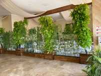 Plante , copaci artificiali