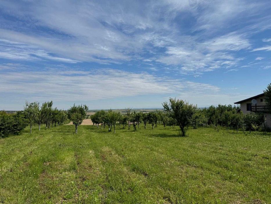 Teren intravilan 1.1 Hectare Viile Satu Mare CF utilitati