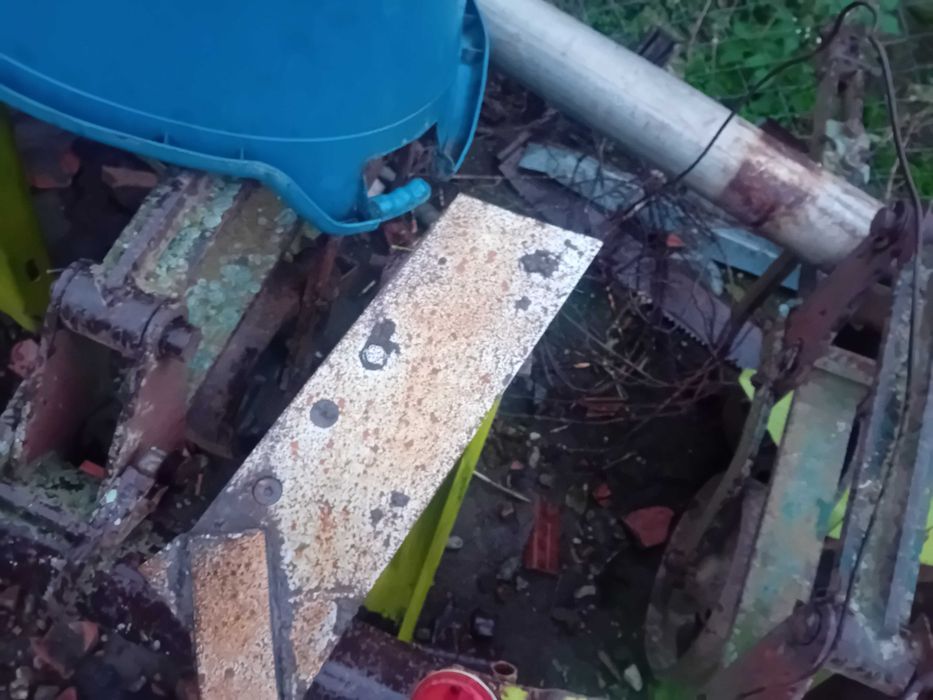 Rariță grau /porumb