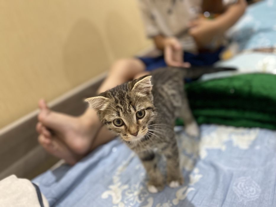 3,5 месяц без вредных привычках