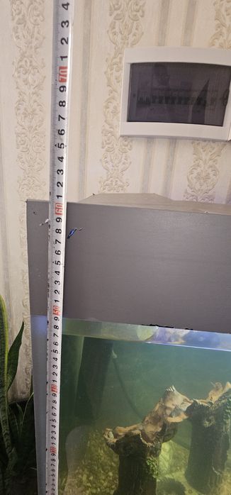 Аквариум 200  л.