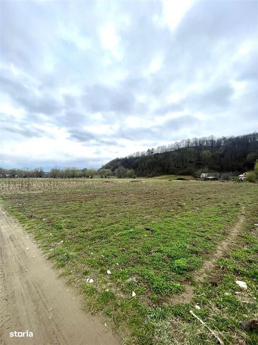 Teren intravilan de vanzare in Sibiu -loc. Talmaciu- 1600 mp