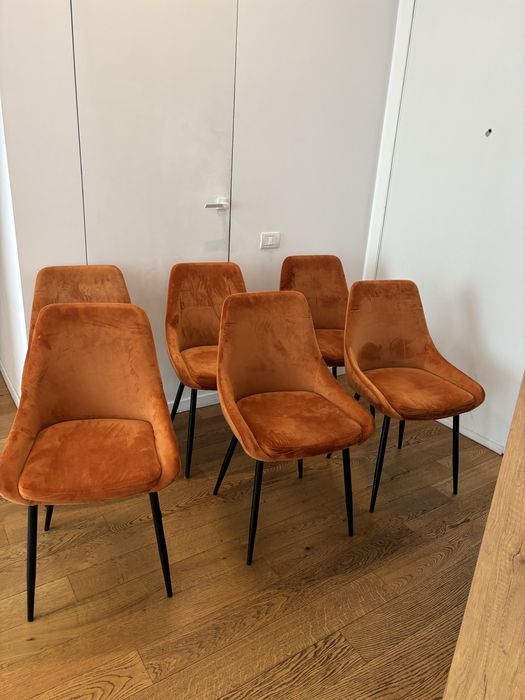 Set 6 scaune catifea