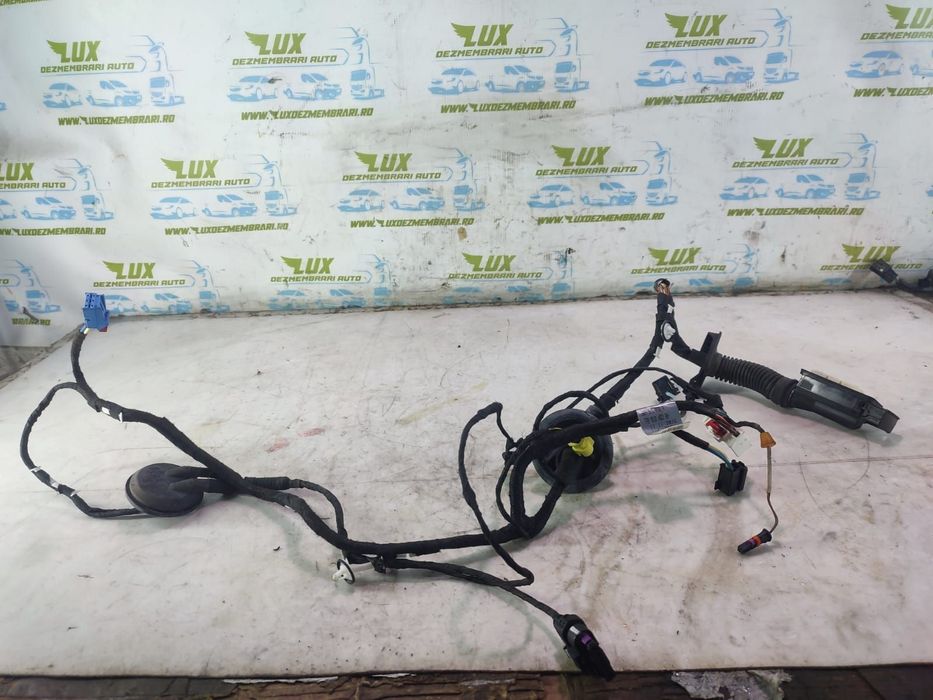 Cablaj usa fata dreapta 80A971030A 2.0 tdi DETA Audi Q5 2 (FYB) [2016