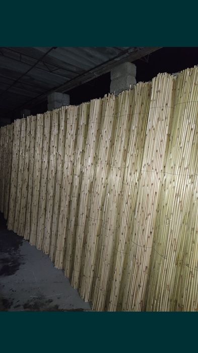 Камышлар бор хар хил турда