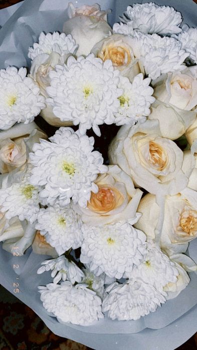 цветы очень красивые