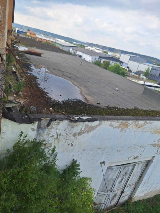 Vand hala cu front la strada principala