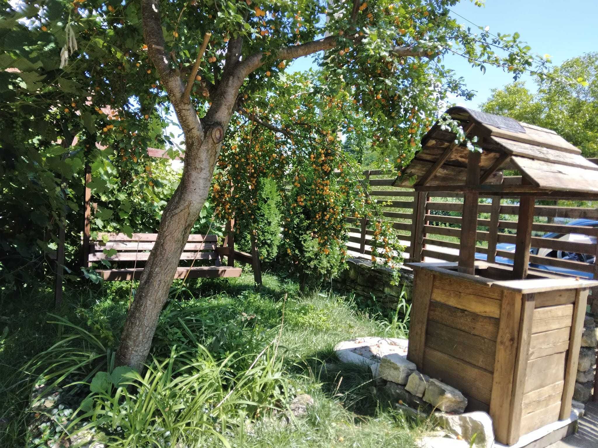 Casa la tara, aproape de oras, departe de aglomeratie