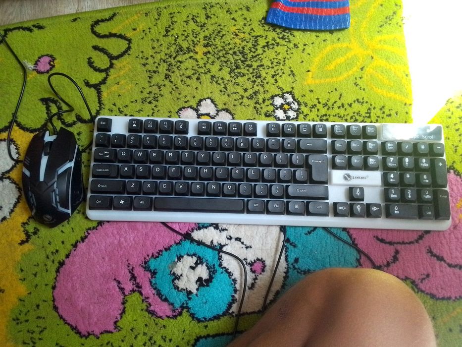 Klaviatura va mishka