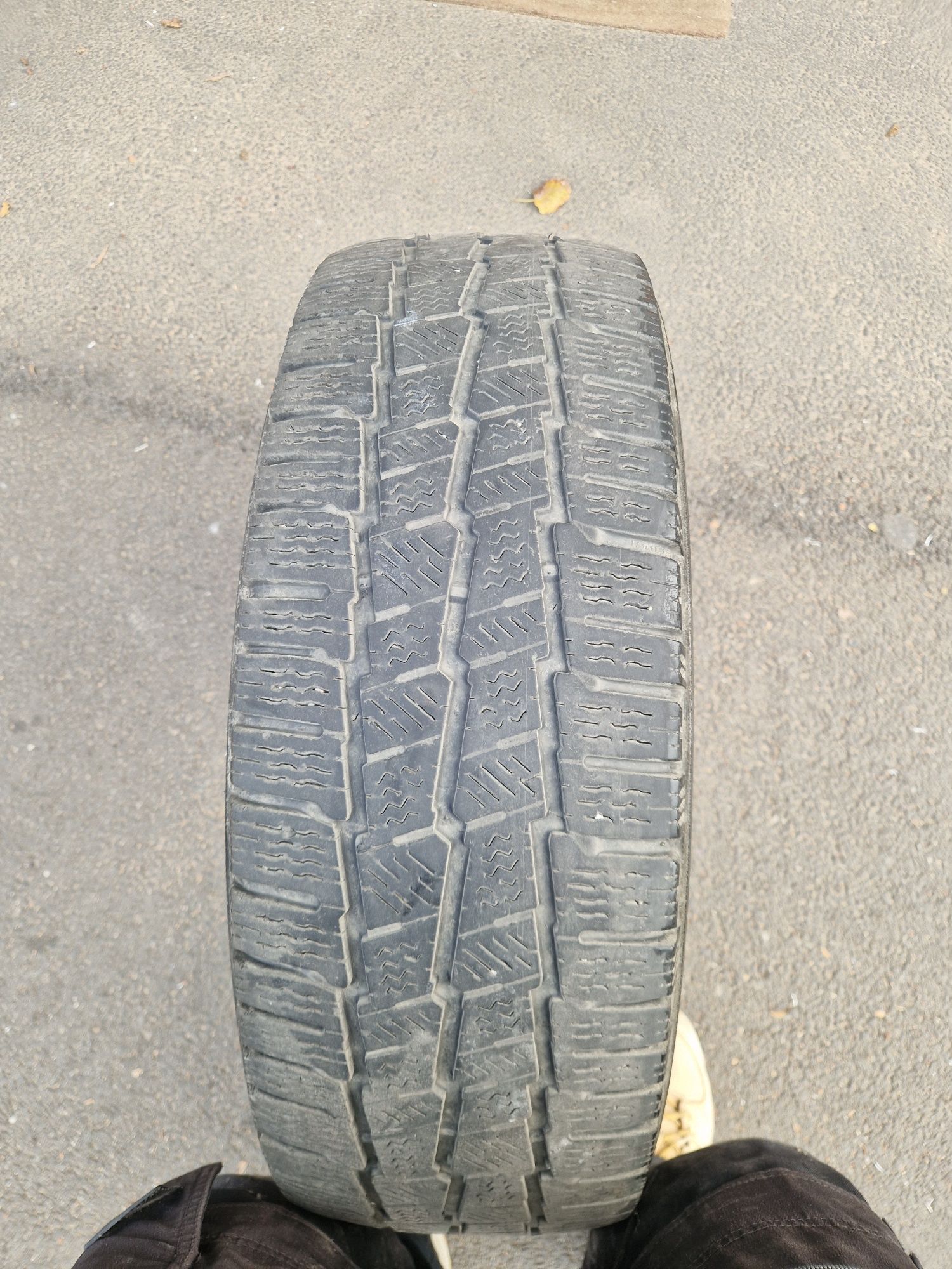 Cauciucuri  iarna Michelin Agilus ALPIN
