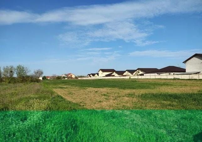 Vand 500mp teren intravilan Posta Cernica 7min de Pallady A0/A2