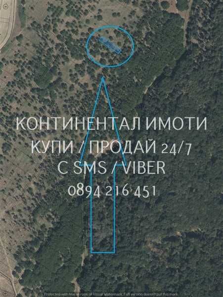 коддд 63118. Орехи 550м2 сред голям орехов масив