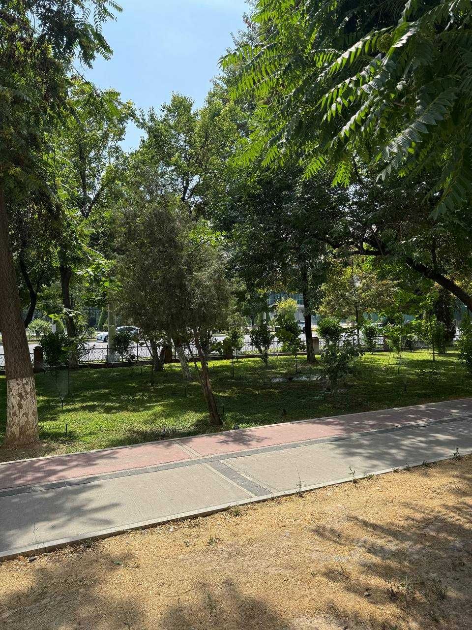 Улица Чехова; ОЙБЕК,3/1/9 "Савдогар банк,71м2,С ремонтом