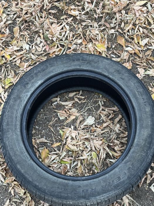 Шина roadstone р19