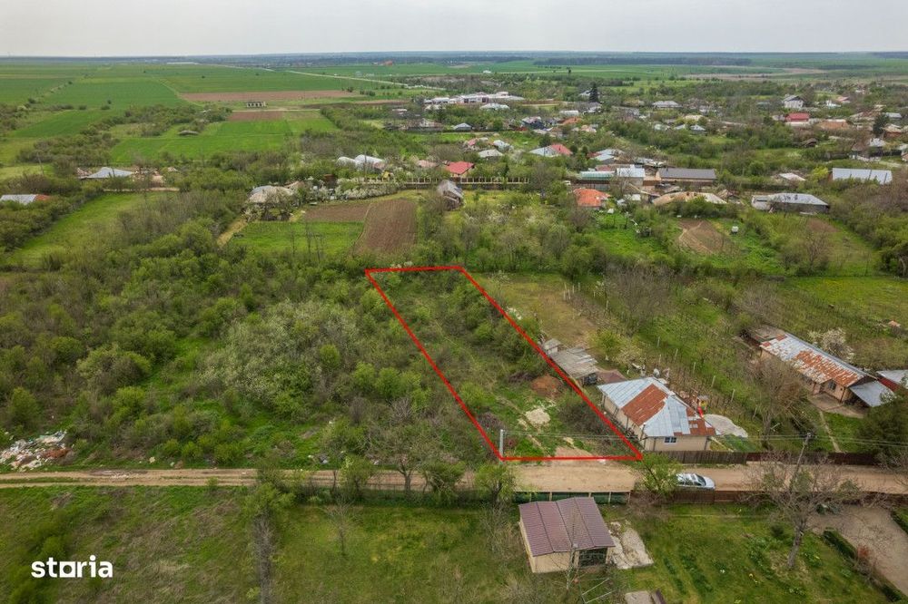 Letca Noua, Teren Constructii 1184 Mp, Front 21 M !