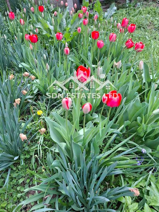 Продава се Къща в Казанлък - 162 кв.м за 658 €/кв.м - Снимка #15