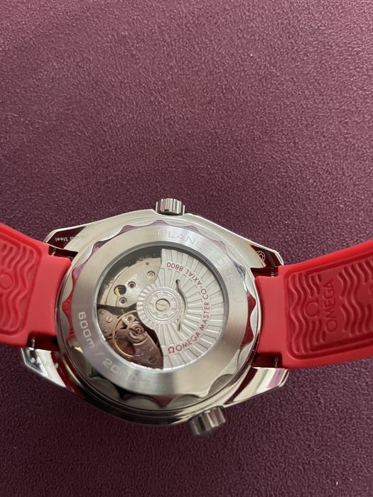 Omega Seamaster Profesional