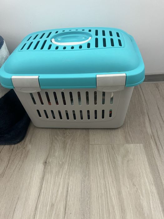 Set pentru pisici: ansamblu de joaca si transportor, stare excelenta!