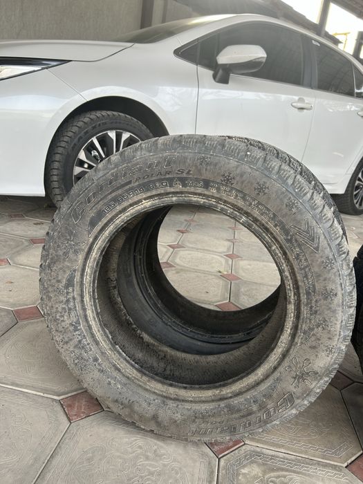 Зимние шины  Cordiant