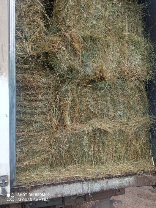 Cено в тюках продам