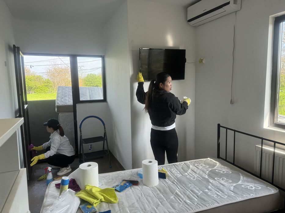 Servicii de curatenie (locuinte, birouri, gradini)