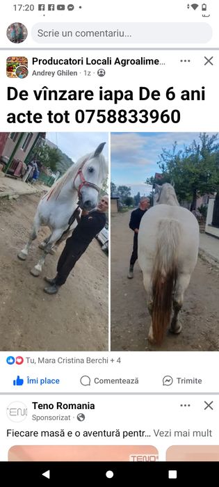 Iapa de vânzare 6 ani are acte propa 3600 euro negociabil mai multe Nr