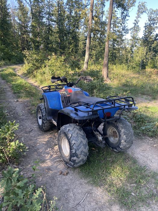 ATV Linhai 300 2x4