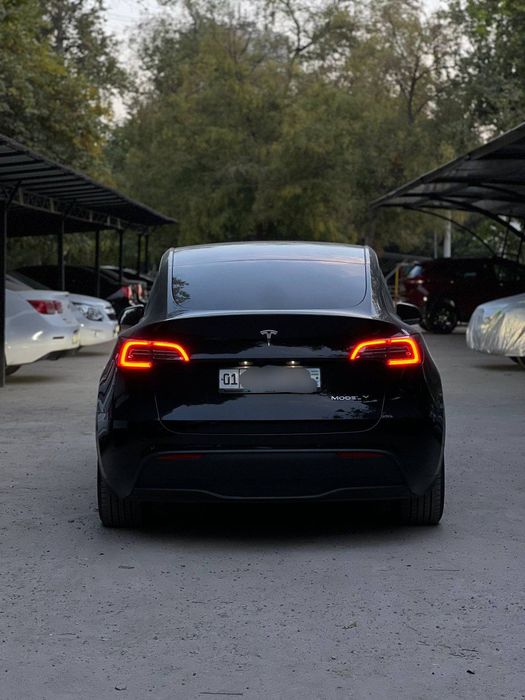 Tesla Model Y Dual Motor