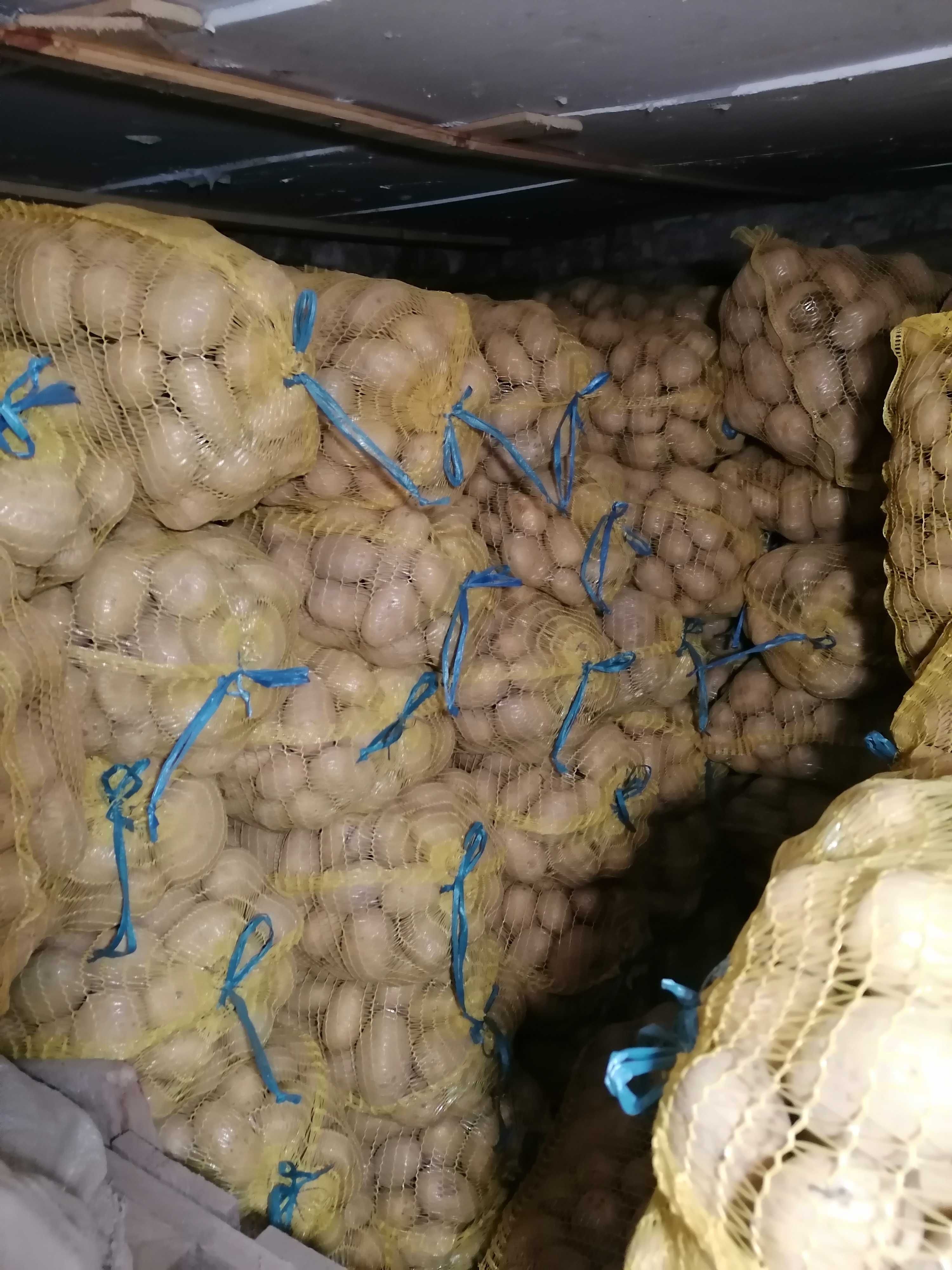 Картофи за семе и консумация