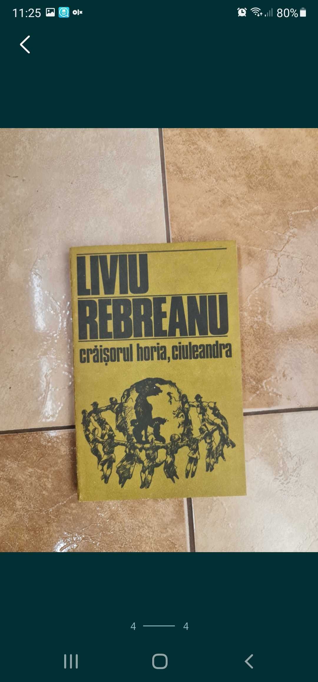 vand Liviu Rebreanu