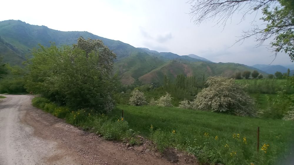Продается своя дача в горном районе Янгиобада