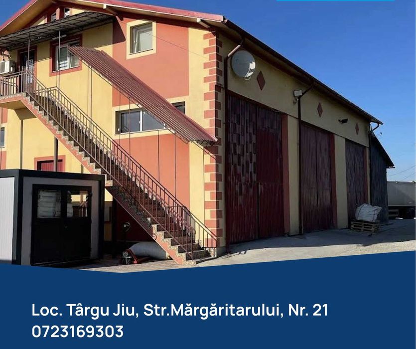 Sămânță Grâu Glosa, PG 102, Genesi, Avenue, ORZ Amazon C1, Triticale