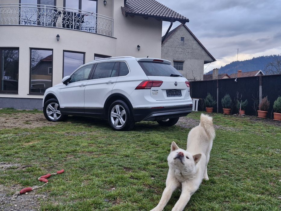 Tiguan de vanzare