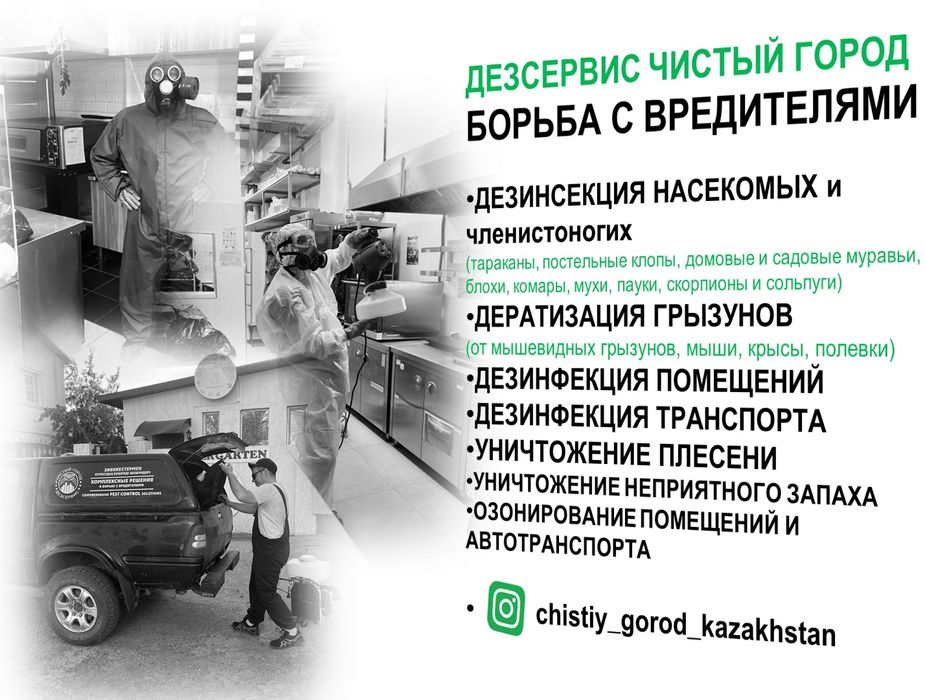 УНИЧТОЖЕНИЕ МУРАВЬЕВ, дезинфекция, дезинсекция, дератизация