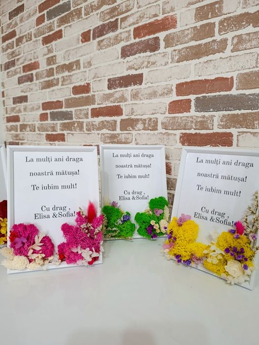 Tablouri decorate cu licheni premium